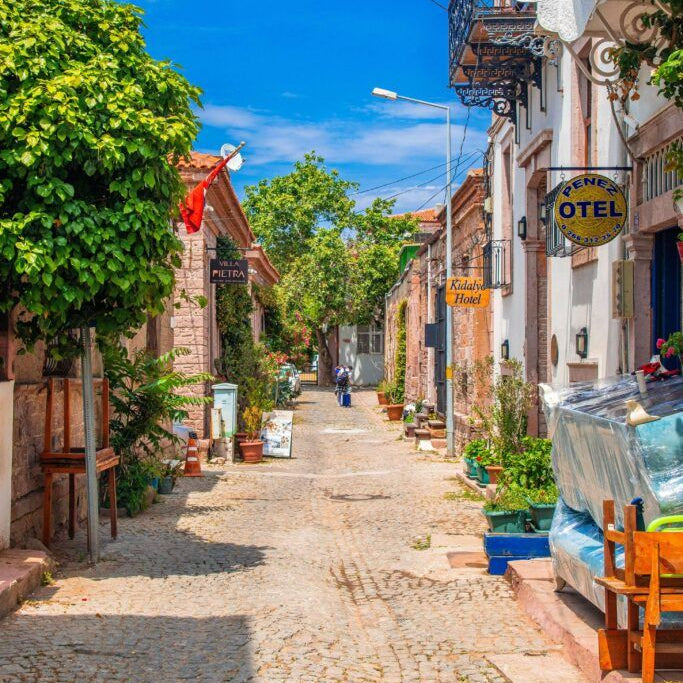 Cobbled street with historic buildings and greenery under a clear blue sky.