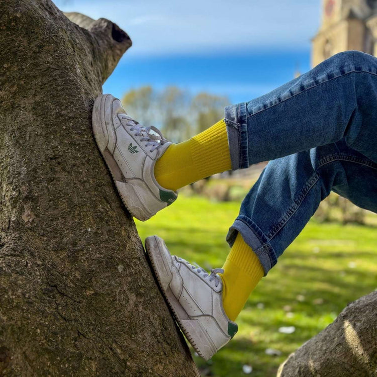 Sun Yellow Ribbed Soft Touch Cotton Socks -Pair Socks